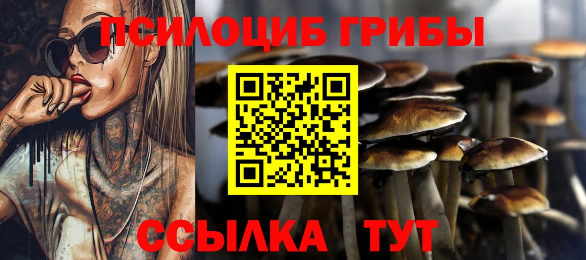 Псилоцибиновые грибы MAGIC MUSHROOMS  Вход с VPN  Дубна 