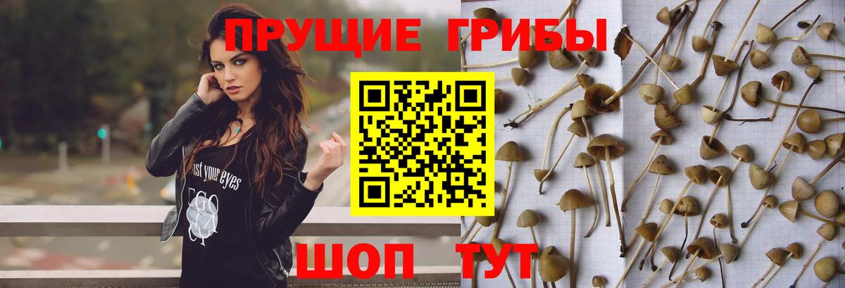 Галлюциногенные грибы ЛСД Дубна